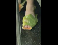 Person wears fish slippers 