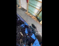 Broken Glass Becomes Whole on Mans Hand