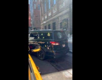 Collab WINY - Black car with dogs parallel park on street