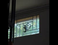 Bird outside pecking glass window really hard