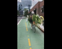 Man on bike filled with plants
