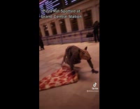 Person dressed as rat dragging pizza through train station 