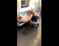 Brown dog sit beside woman lay on subway seats 