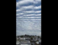 Submitter shows altocumulus clouds