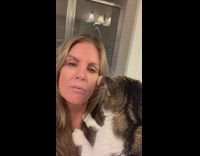 Woman tries to do makeup while cat tries to get womans attention 
