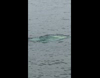 Porta potty found in the middle of river 