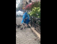 Collab WINY - Woman blue raincoat feed pigeons park