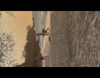 Two group in their beach outfit in a different photoshoot Part 3