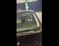 Dog in car pressing horn 