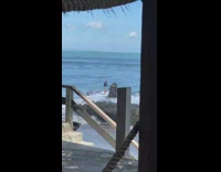 Guy takes selfie large wave hits him