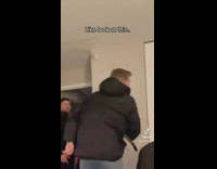 Compilation of cat attacking and hissing at people 