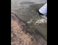 Guy falls in water holds phone up