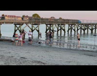 Two women in black bikini poses near the kids party