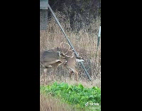 When youre not done ruttin