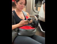 Collab Subway_Creatures - Woman ride train pet dog inside bag