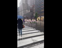 Falun Dafa group procession in the rain