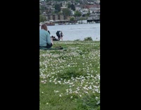 Woman in black dress dances near the river