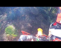 POV of guy on dirt bike crashing into tree 