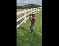 Kid photographs baby calf cows 