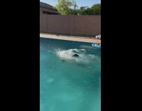 Guy pushes friend into pool and loses his shirt