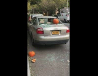 Parked car with smashed back window pumpkin