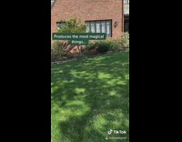 Adult male cd on road