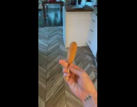 Guy puts under in ice machine and it dispenses a corndog 