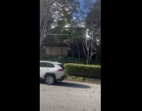 Dog barks at each other across houses