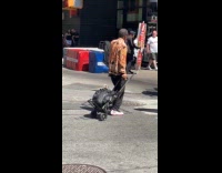 Collab WINY - Man sings its grannys world on street