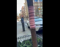 Man shows tree covered with knitted design