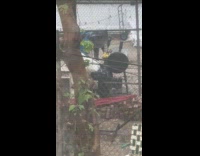 Man with garbage bag cover chopping wood 