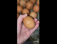 Collab BitchMP - Egg cracking hatching finger