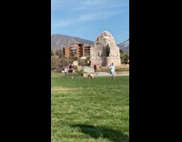 Man squat walk with pet dog park video shoot