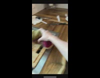 Collab BitchMP - Dad catches gold hot potato screams