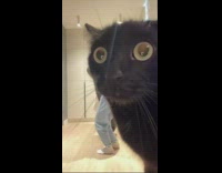 Friends tries to record a video but fails