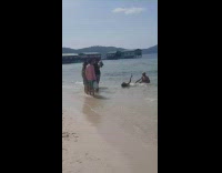 Guy with womans toes in mouth beach picture