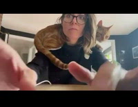 Orange cat lays down on shoulders girl 