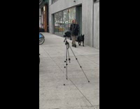 Woman jacket sit over black dog street