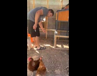 Chicken pecks shorts tag on man bum
