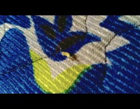 Small ant carries food twice its size