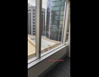 Bird Slam into Window Mark Found 