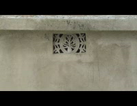 Collab DailyDoseOfInternet - Tiny bird comes out from flower art hole and flies 