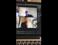 Brown puppy dog joins zoom tilts head