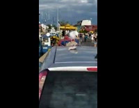 Wild seagull eats raw fish on the car roof