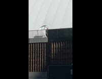 Man walks backward at bridge under sun