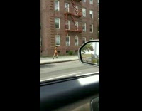 Man running in public on street wearing only black thong