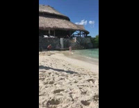Woman in black bikini headstand on the beach