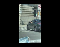 Pigeon bird sits on hand guy car