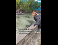 Collab BoysIG-Default - Excited Lady Pets Fish at Aquarium Park