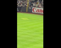 Cat interrupts baseball game runs around field pt. 3 